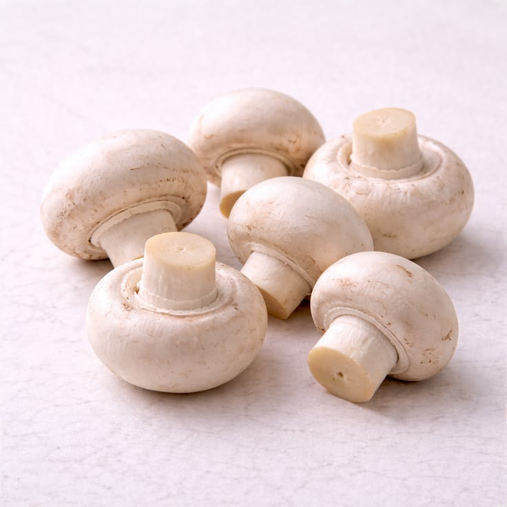 Saprotrophic white button mushrooms growing in the dark compost bed